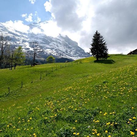 Aspen Alpine Lifestyle Hotel Grindelwald Ngoại thất bức ảnh