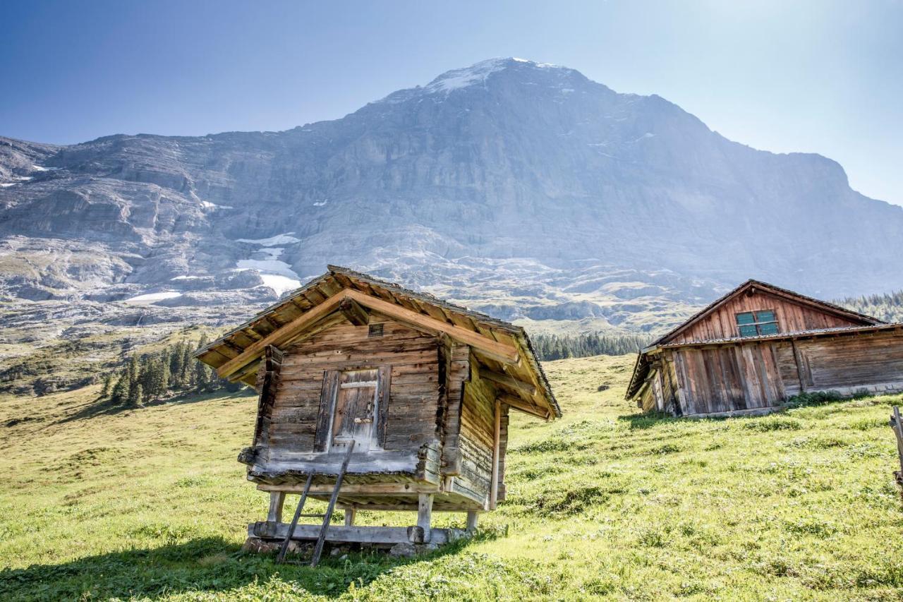 Aspen Alpine Lifestyle Hotel Grindelwald Ngoại thất bức ảnh